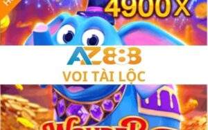 voi tai loc 2 2