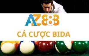 ca cuoc bida 2 2
