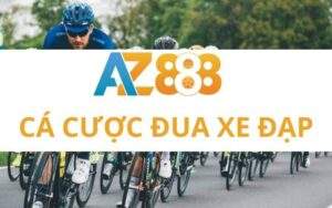 ca cuoc dua xe dap 2 2