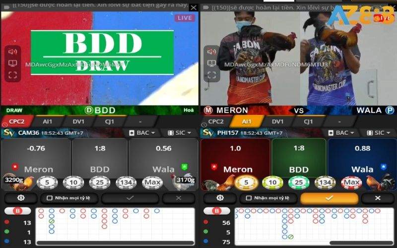 Các trận đấu tại sảnh SV388 có nguồn từ các trường gà danh tiếng Các trận đấu tại sảnh SV388 có nguồn từ các trường gà danh tiếng