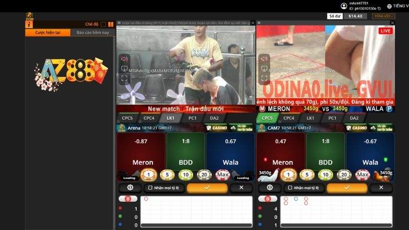 AZ888 Đá Gà Trực Tuyến